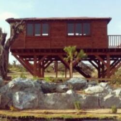 Timbwer Wood Summer Houses